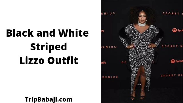 Black and White Striped Lizzo Outfit