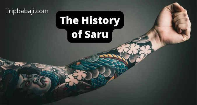 the history of saru