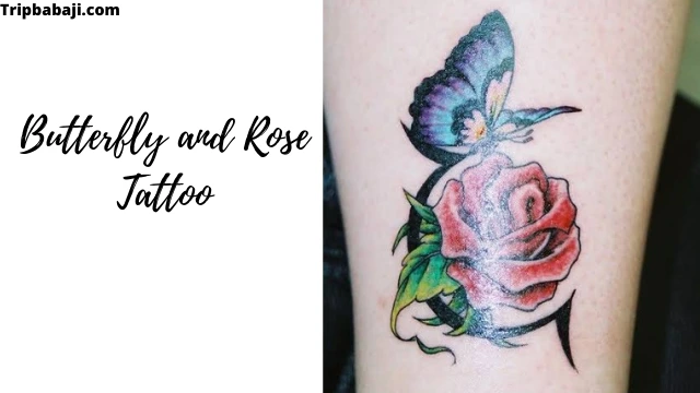 Butterfly and Rose Design