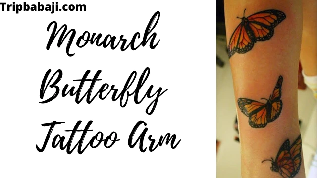 Monarch Butterfly Tattoo Arm Design