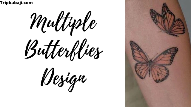 Multiple Butterflies with Different Shapes