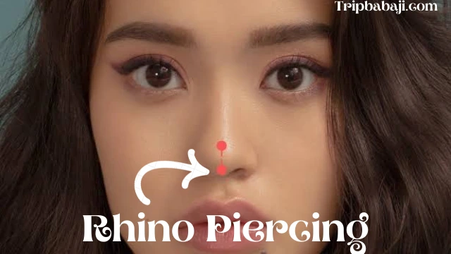 Rhino Piercing or Vertical Nose Piercing