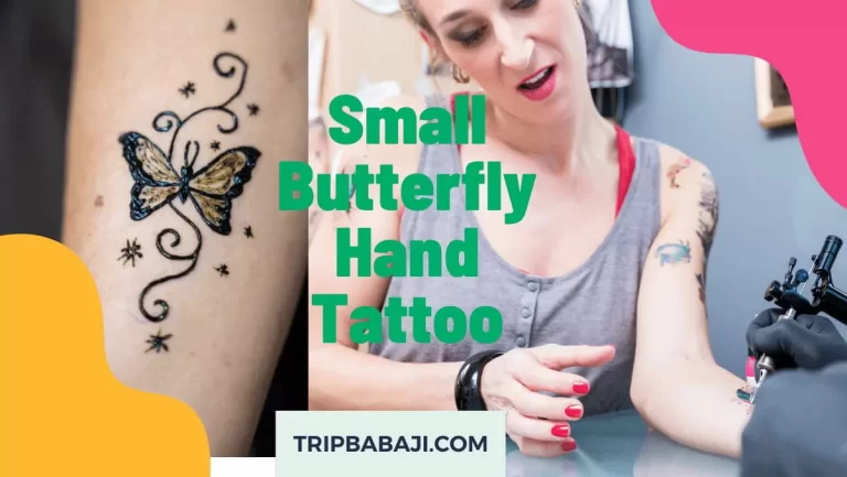 [Cool 10+] Small Butterfly Hand Tattoo – Best Ideas in 2022