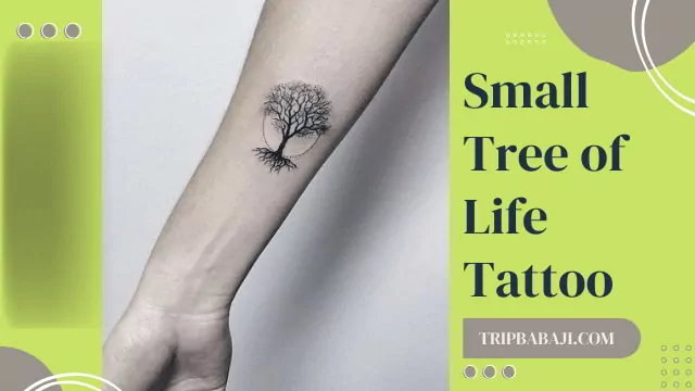 small-tree-of-life-tattoo