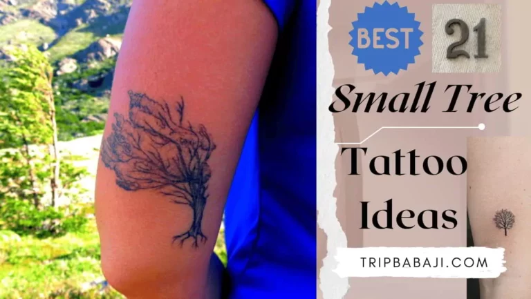 [20+ Best] Small Tree Tattoo Designs & Amazing Ideas in 2022