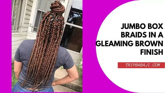 jumbo-box-braids-in-a-gleaming-brown-finish
