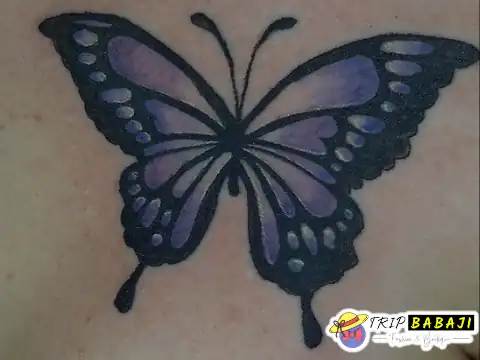 Birds Raw Tattoo butterfly