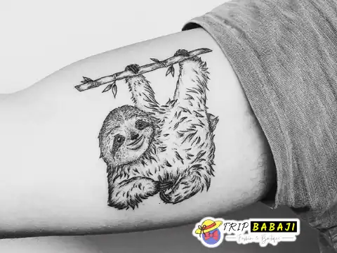 cute Animal Tattoo Designs